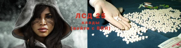 PSILOCYBIN Алзамай