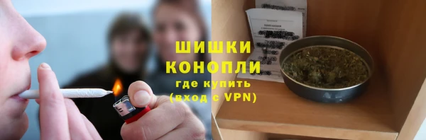 PSILOCYBIN Алзамай