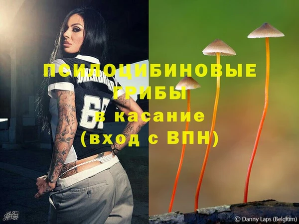 винт Алексин