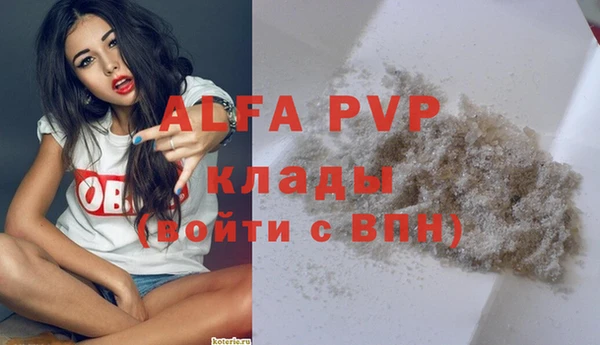 винт Алексин
