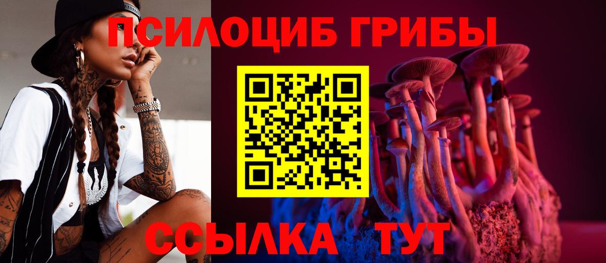Галлюциногенные грибы Psilocybine cubensis  Галлюциногенные грибы GOLDEN TEACHER  Сафоново  Вход с VPN 