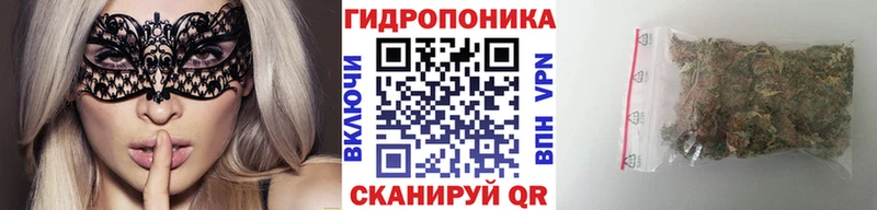 Конопля гибрид Сафоново